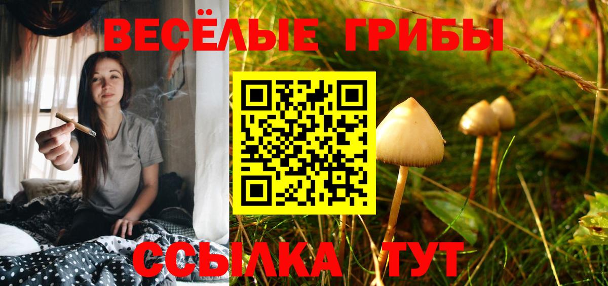 Галлюциногенные грибы прущие грибы Избербаш