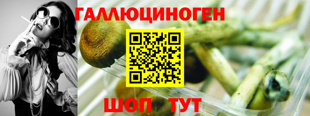 Псилоцибиновые грибы мицелий  Псилоцибиновые грибы ЛСД  Избербаш  Вход с VPN 